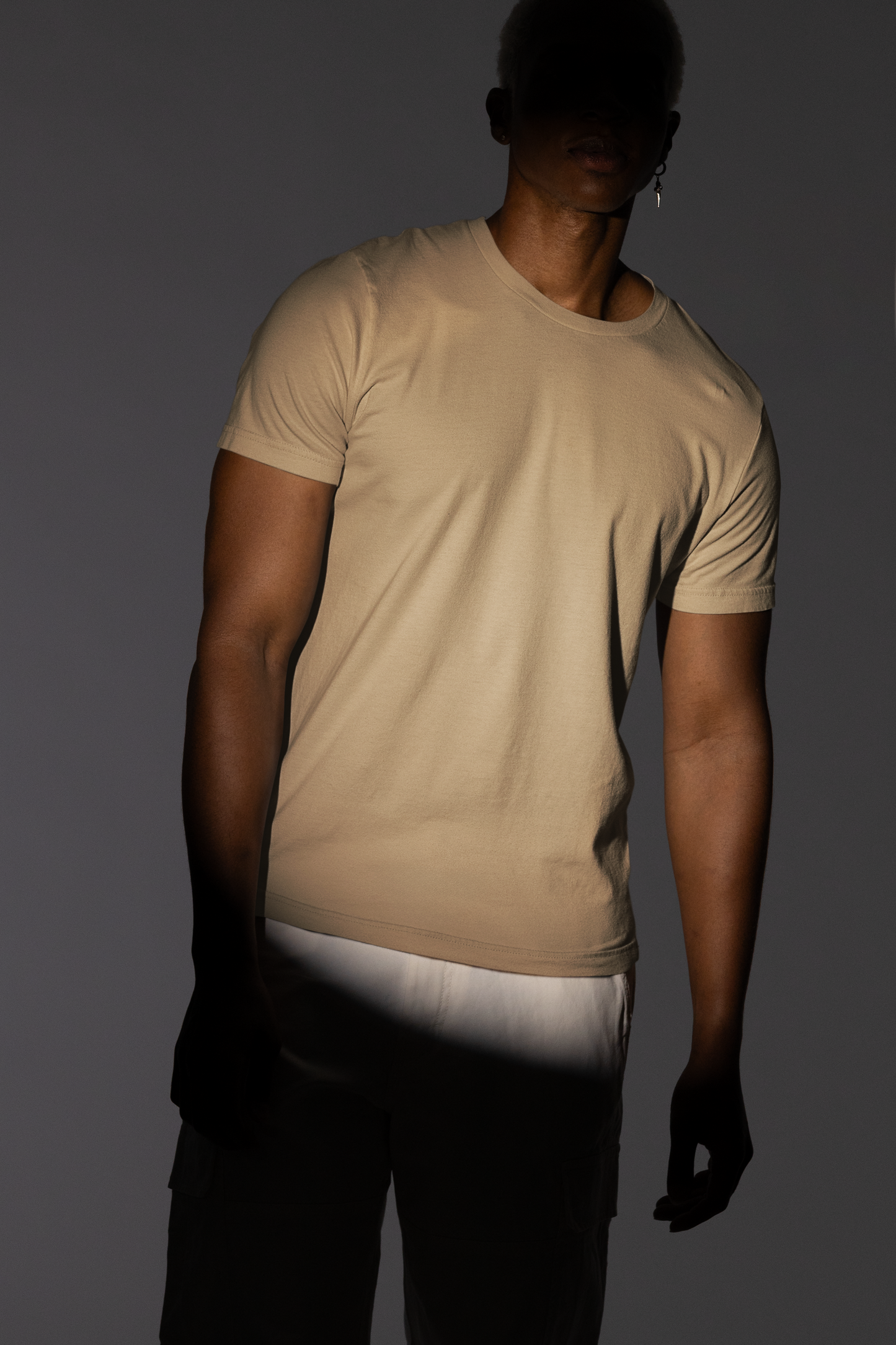 CLASSIC BEIGE: MENS REGULAR FIT T-SHIRT